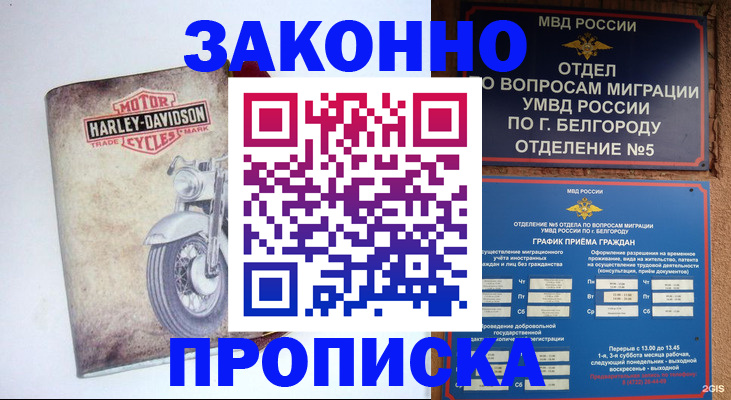 прописка для школы в Гатчине